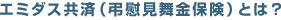 エミダス共済(弔慰見舞金保険)とは