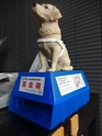 ボランティア活動~東日本盲導犬協会支援~