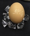 高精度切削加工サンプル｜卵｜溝深さ0.05mm, 微細加工,　株式会社キメラ【第8回MEDIX（医療機器　開発・製造展）に出展いたします。】