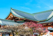 チタン発色建材 使用例【北野天満宮】