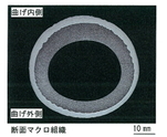 【磨耗・腐食対策】肉盛溶接管（切断面マクロ）